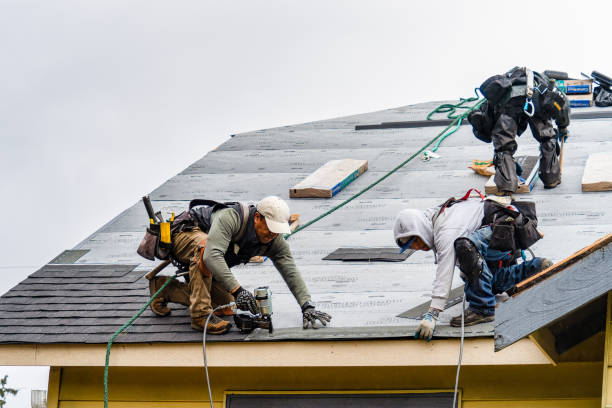 Professional Gutter Installation technician working in Columbus City, IA